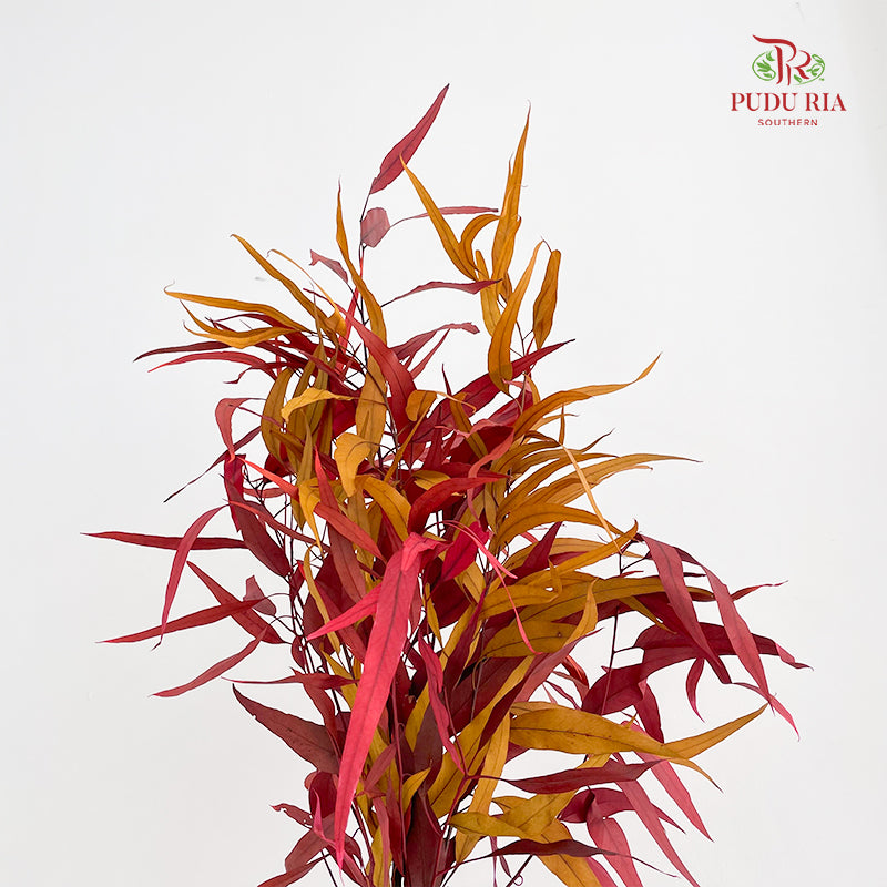 Preservative Eucalyptus Exotica