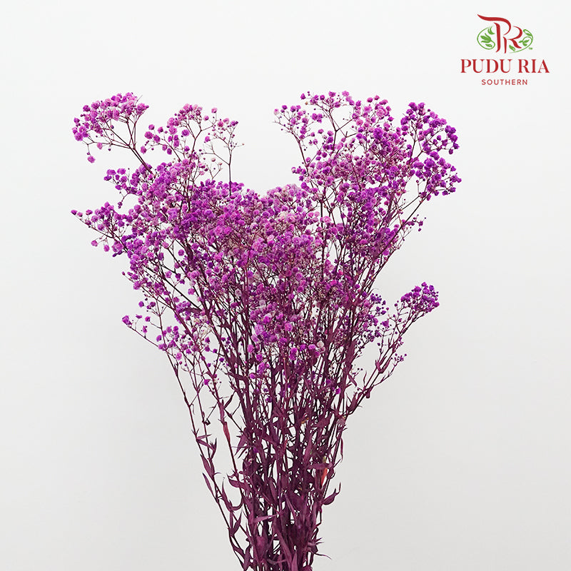 Preservative Baby Breath - Purple - Pudu Ria Florist Southern