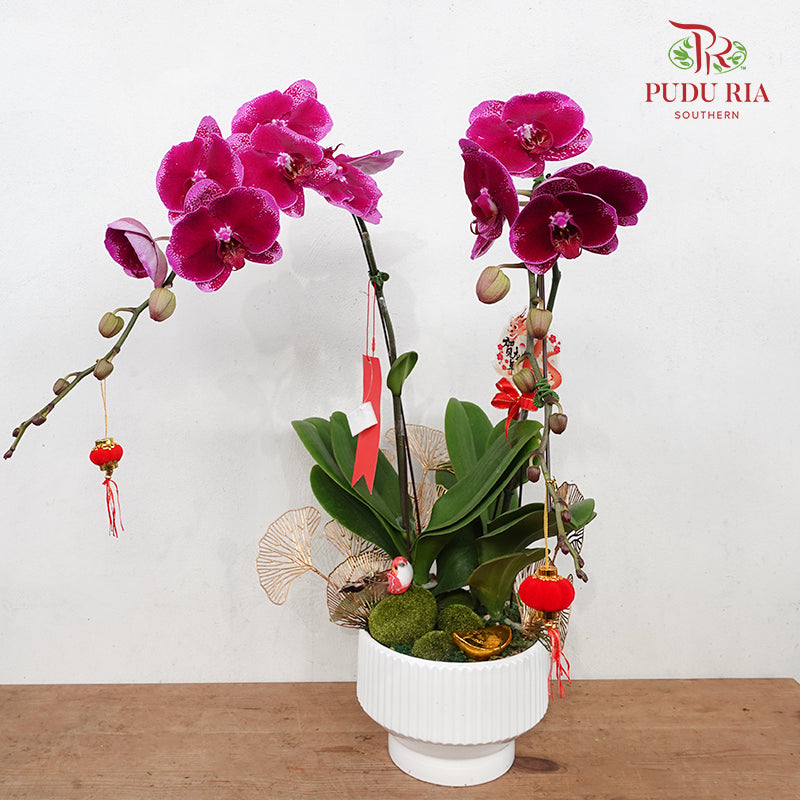 CNY Potted Plant Arrangement 2024#73