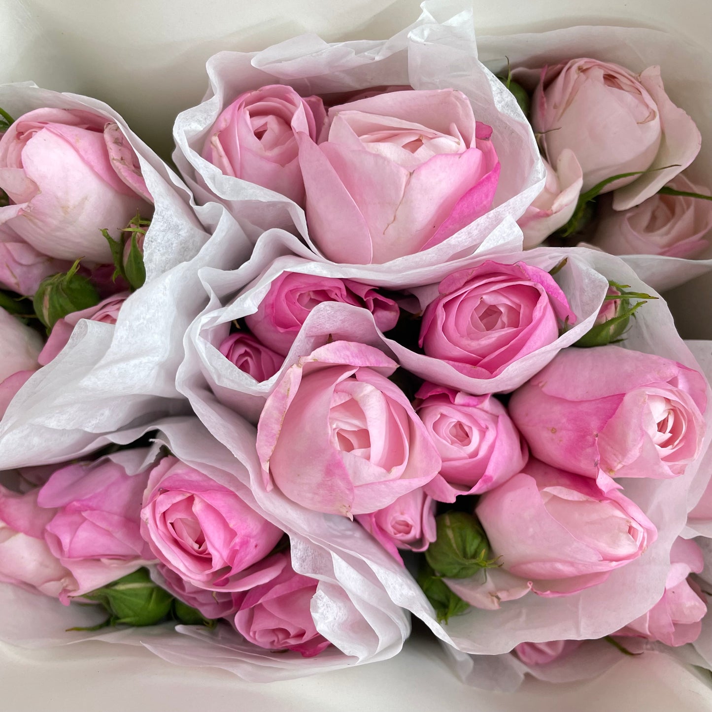 Rose Spray Strawberry Macaroons - (8-10 Stems)