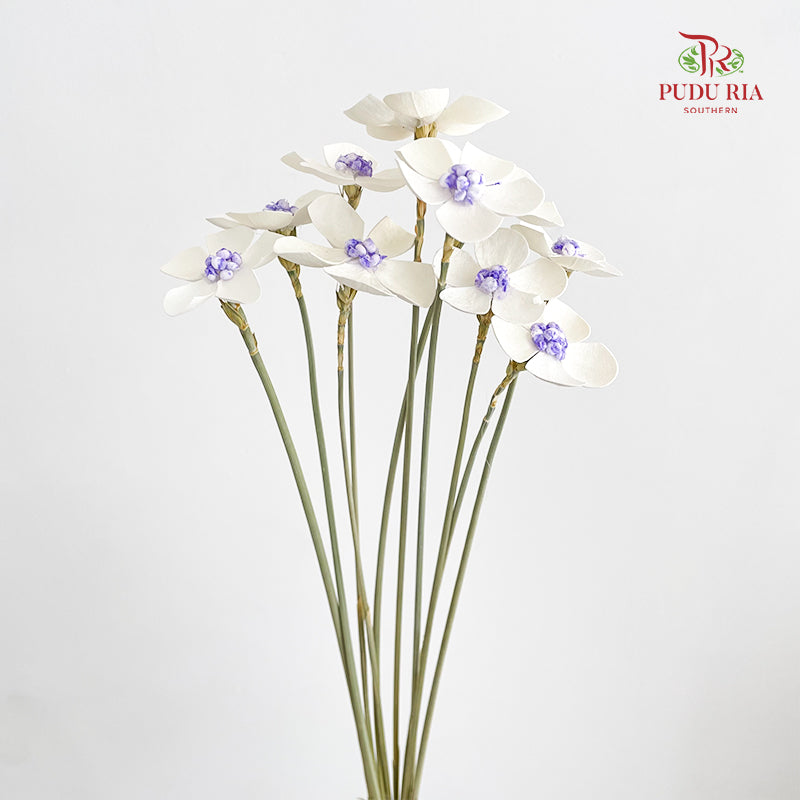 Dry Violet - White Center Purple