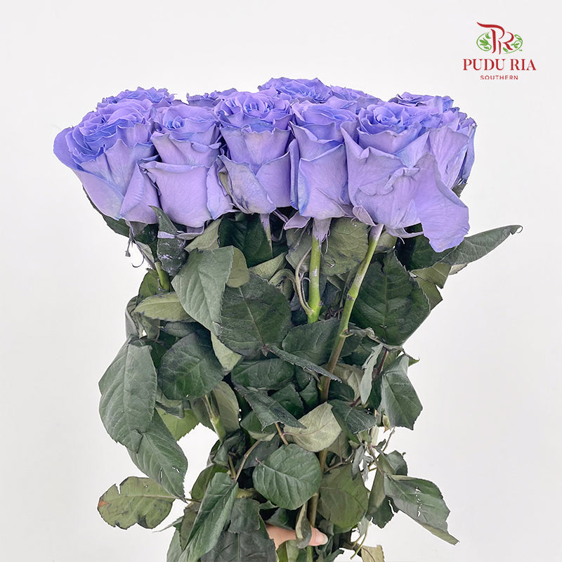 Rose Mondial Dyed Blue Lavander - (8-10 Stems)