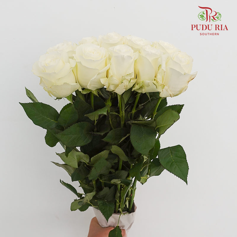 Rose Proud - (8-10 Stems)