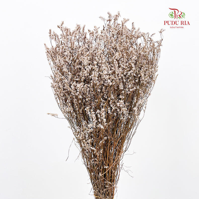 Dry Flower Caspia - Natural