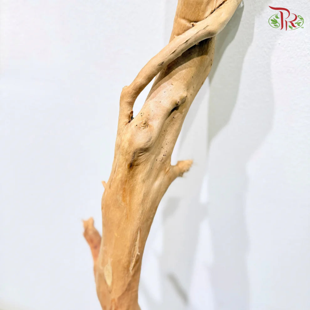 FINE DUJUANGEN ROOT 精品杜鹃根 1KG