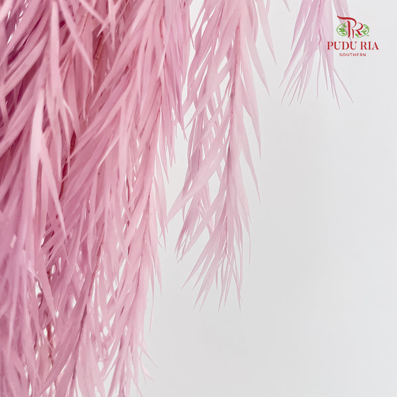 Dry melaleuca Leaf Lilac