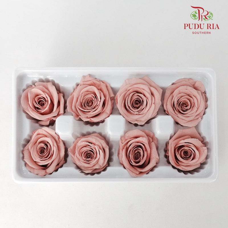 8 Bloom Preservative Rose - Coral - Pudu Ria Florist Southern