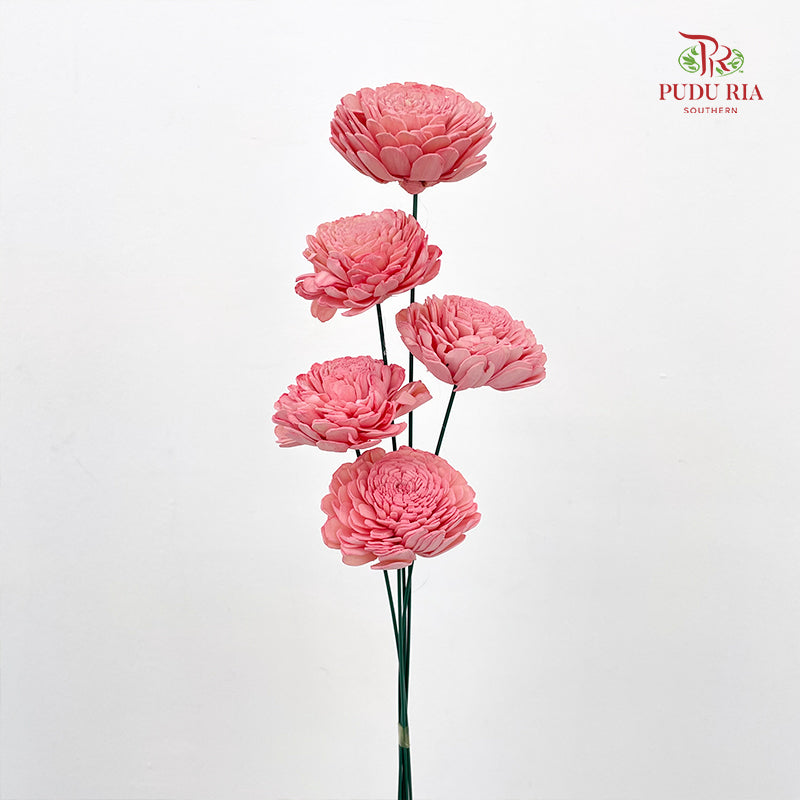 Dry Aeschynomene (Big) - Pink