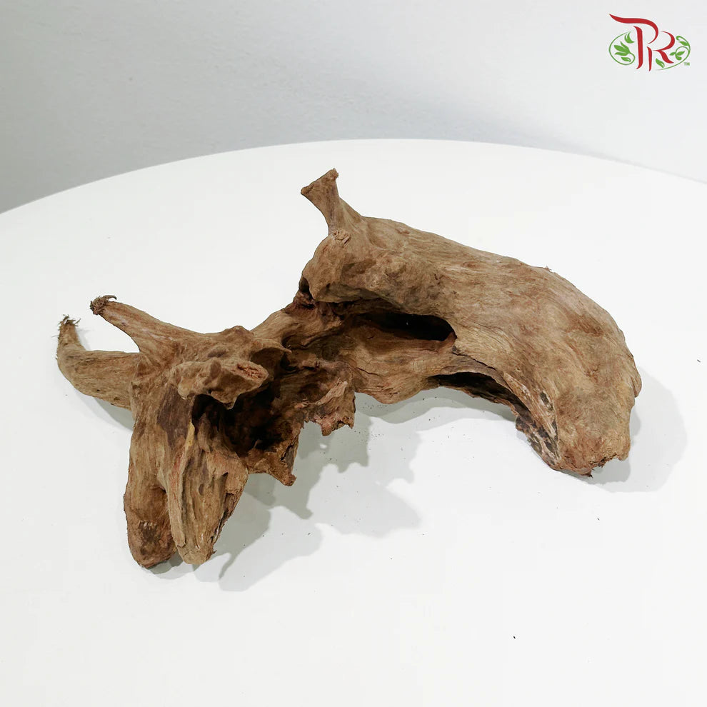 CORAL WOOD 珊瑚木 1KG