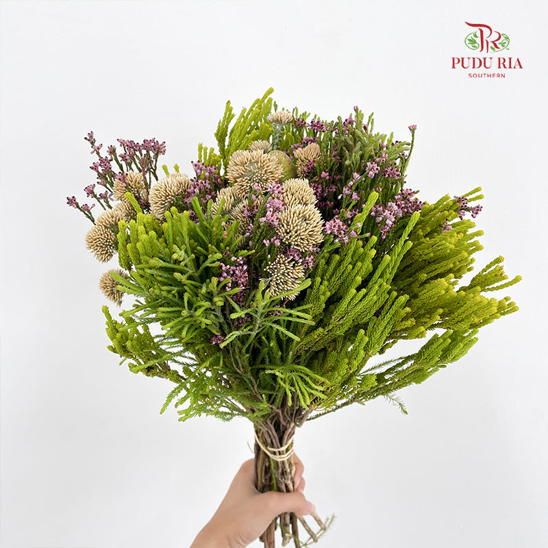 Safari Mix Cone / Cape Cone (4) - (Per Bundle)