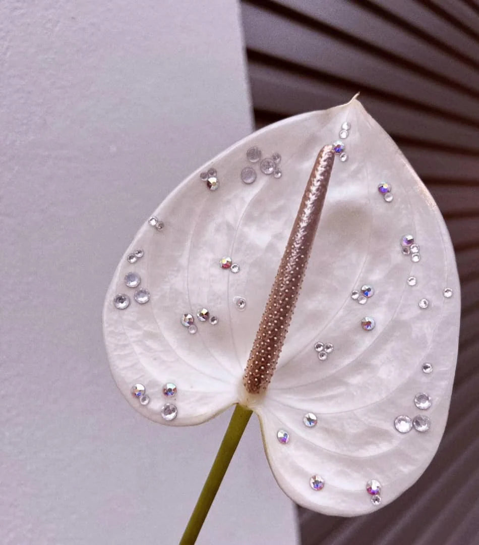 Iridescent Pearls - FBA155