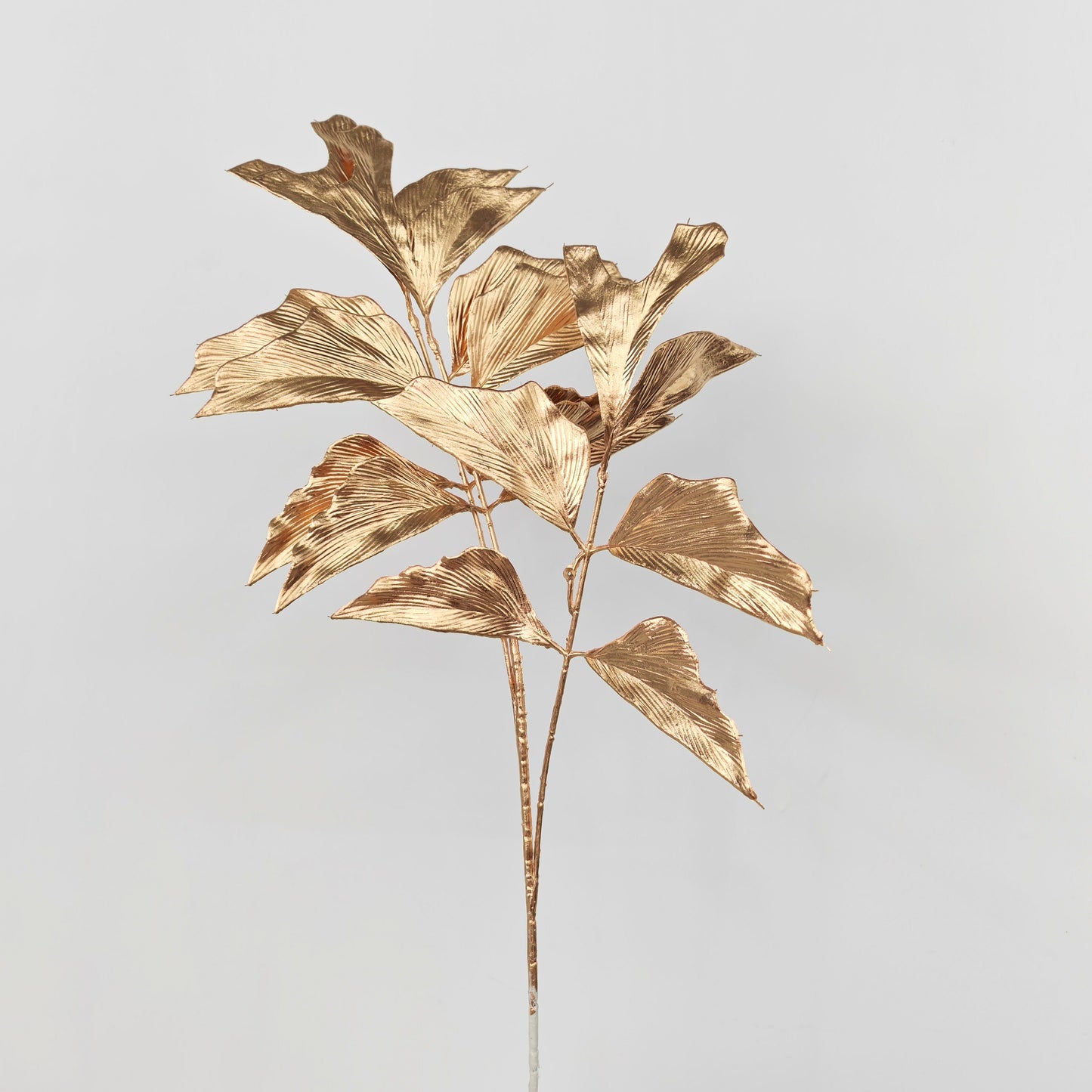 Gold Fern Leaf (2 stems)