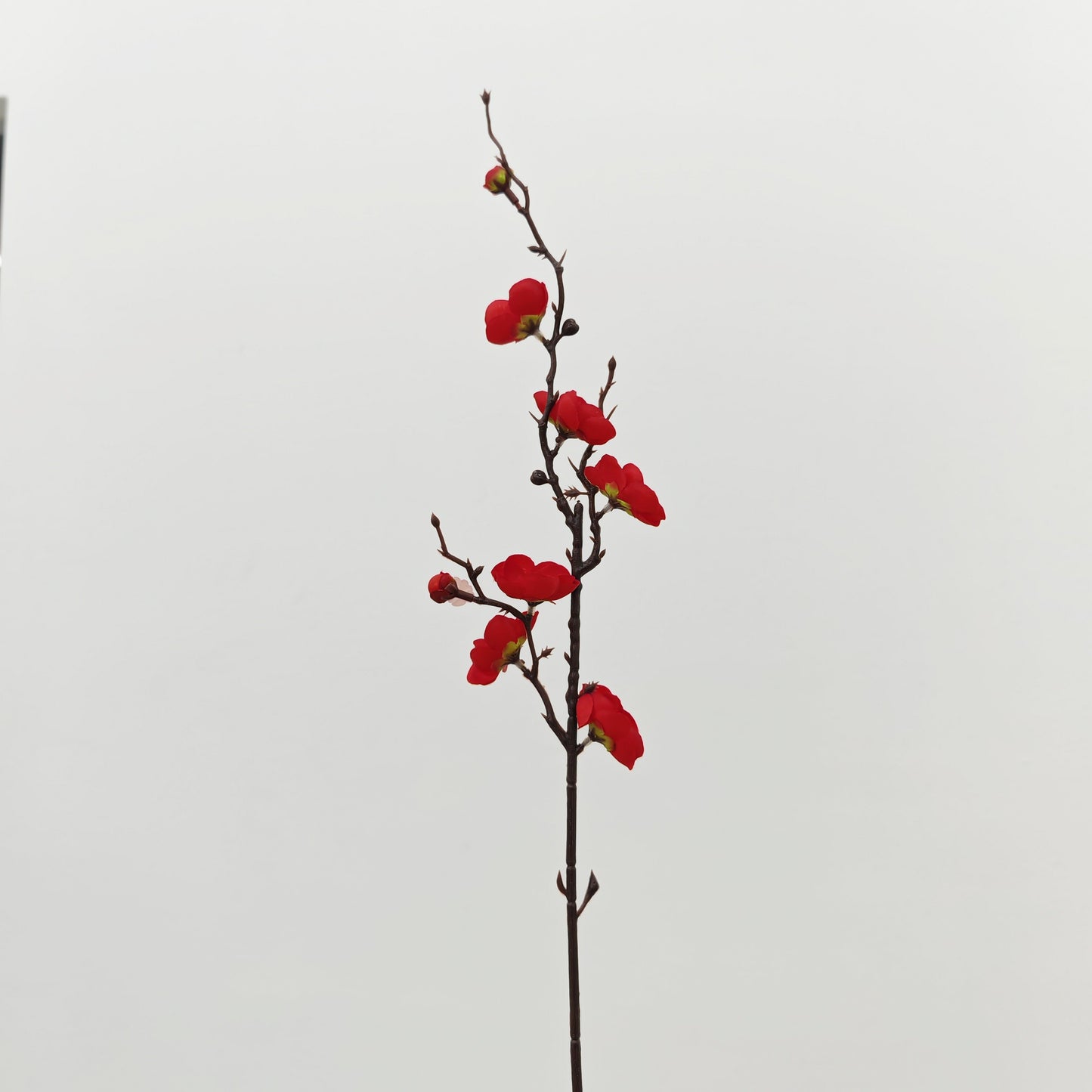 CNY Artificial Wintersweet Flower 60CM (5 Stems)