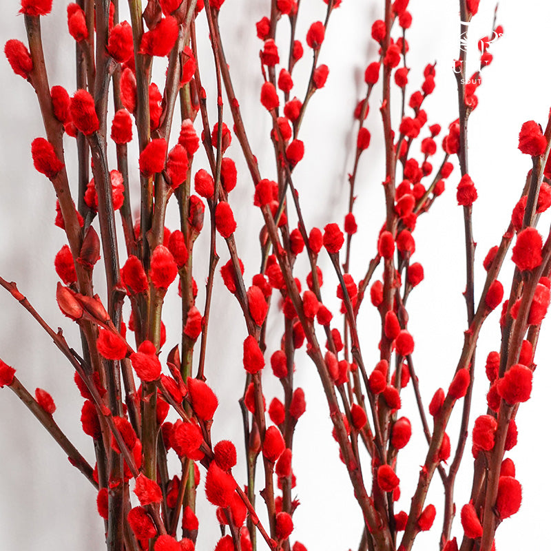 银柳分枝 Pussy Willow Spray (8ft) - Red