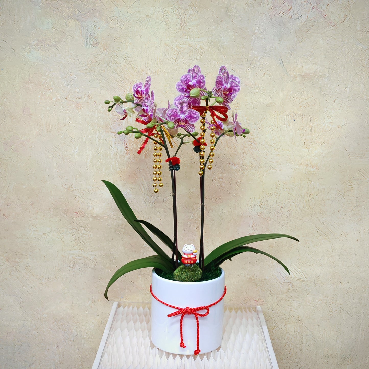 CNY Phalaenopsis Arrangement 2025 #9