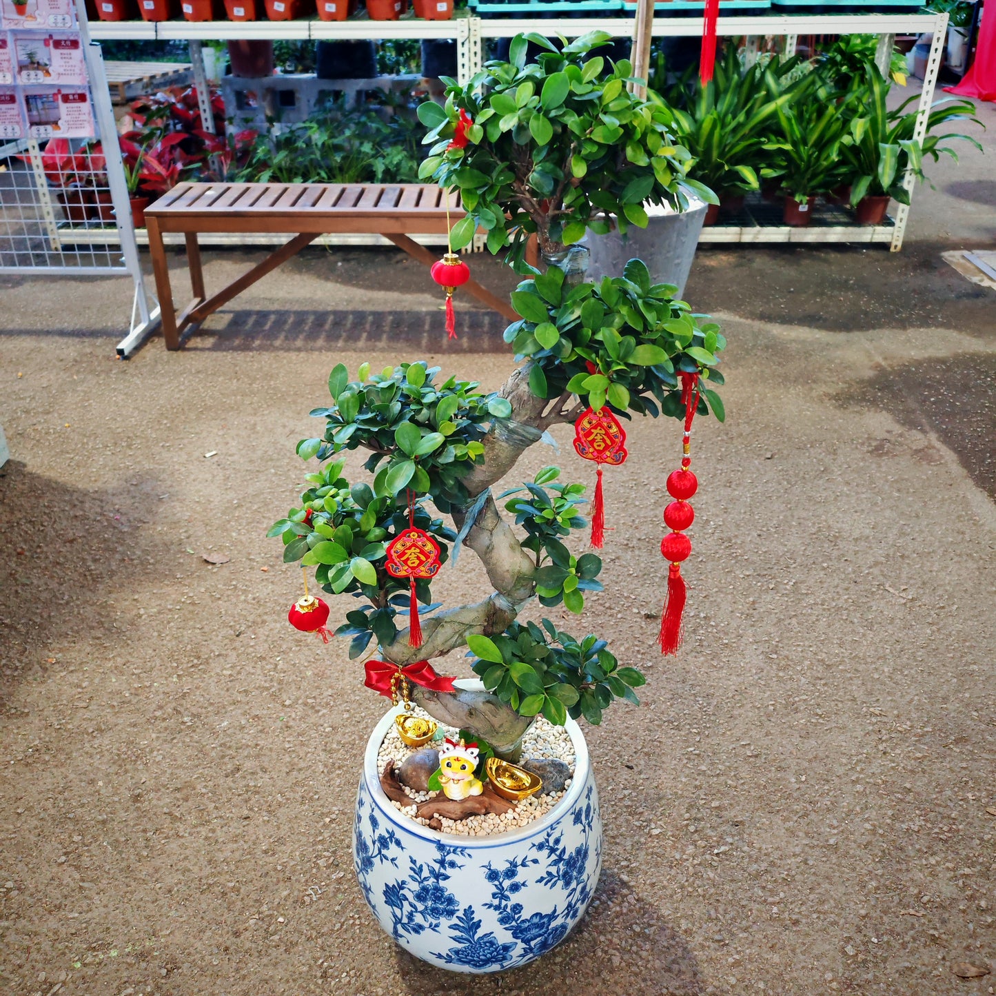 CNY Potted Plant Arrangement 2025#42