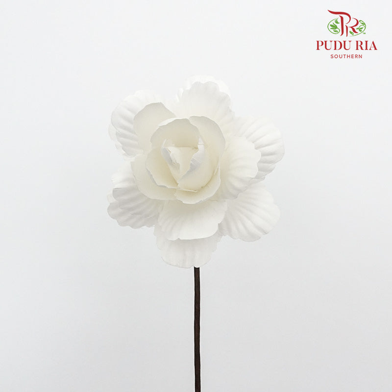 Dry Asia Peony - White - Pudu Ria Florist Southern