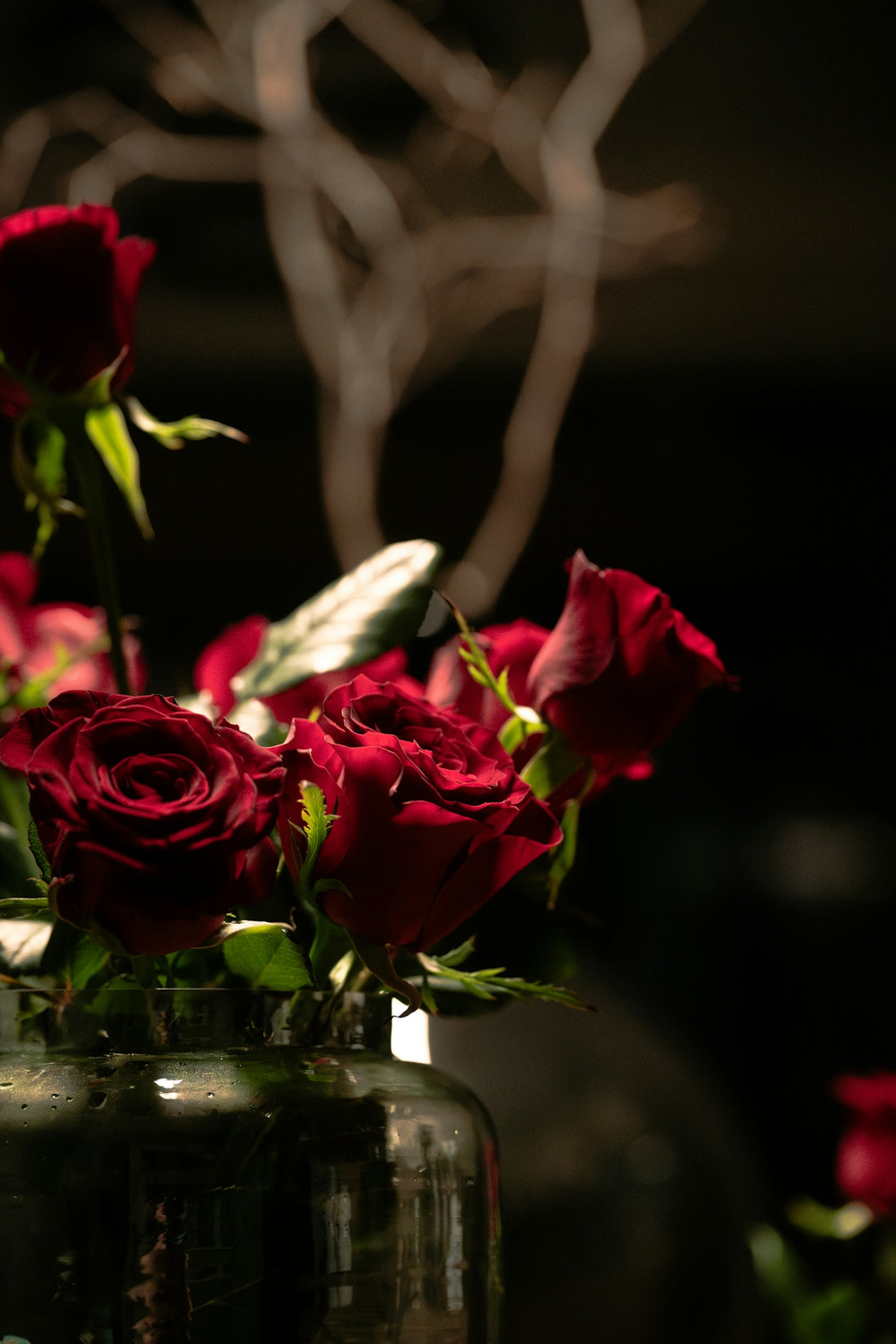 A vase filled with red roses sitting on top of a table