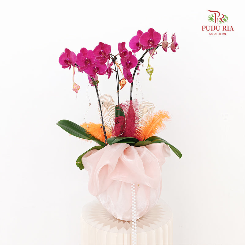 Plant Arrangement