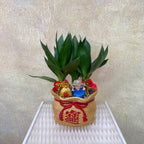 CNY Potted Plant Arrangement 2025#50