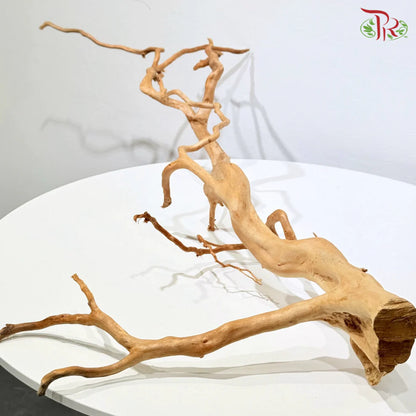 FINE STRIP DUJUANGEN ROOT 精品条形杜鹃根 1KG