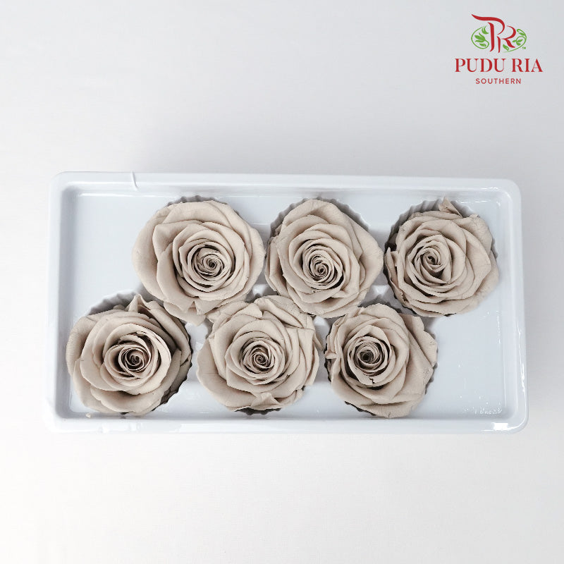 6 Bloom Preservative Rose - Light Taupe - Pudu Ria Florist Southern