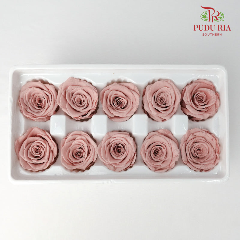 10 Bloom Preservative Rose - Coral - Pudu Ria Florist Southern