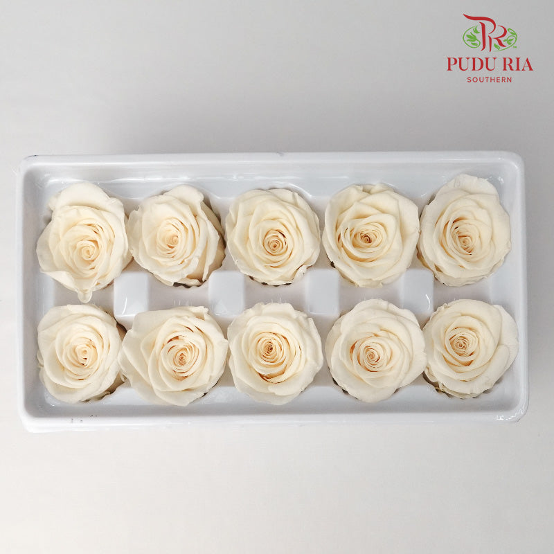 10 Bloom Preservative Rose - Cream - Pudu Ria Florist Southern