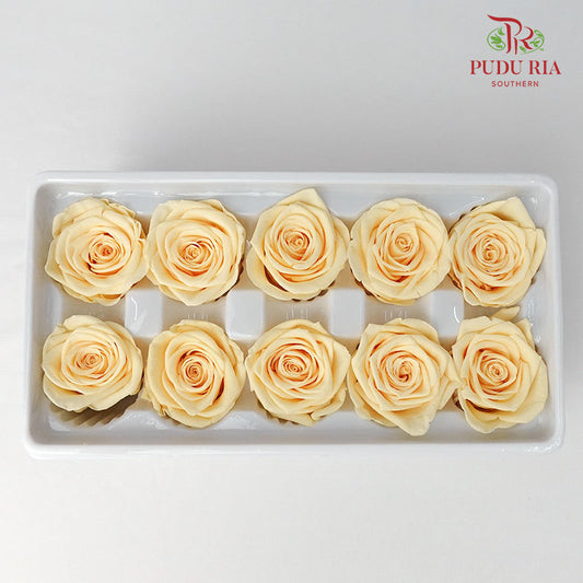 10 Bloom Preservative Rose - Creamy Yellow - Pudu Ria Florist Southern