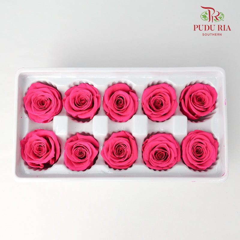 10 Bloom Preservative Rose - Hot Pink - Pudu Ria Florist Southern