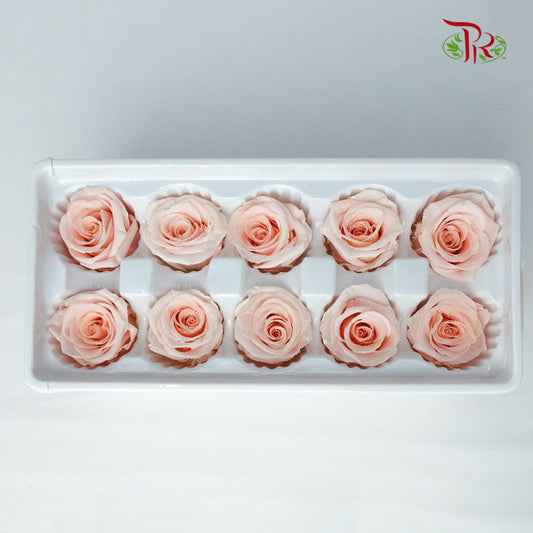 10 Bloom Preservative Rose - Light Peach - Pudu Ria Florist Southern