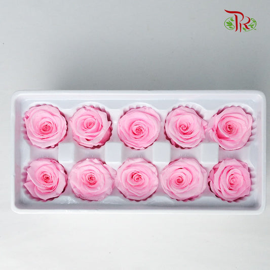 10 Bloom Preservative Rose - Light Pink - Pudu Ria Florist Southern