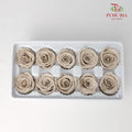 10 Bloom Preservative Rose - Light Taupe - Pudu Ria Florist Southern