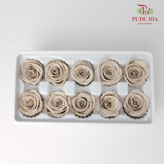 10 Bloom Preservative Rose - Light Taupe - Pudu Ria Florist Southern