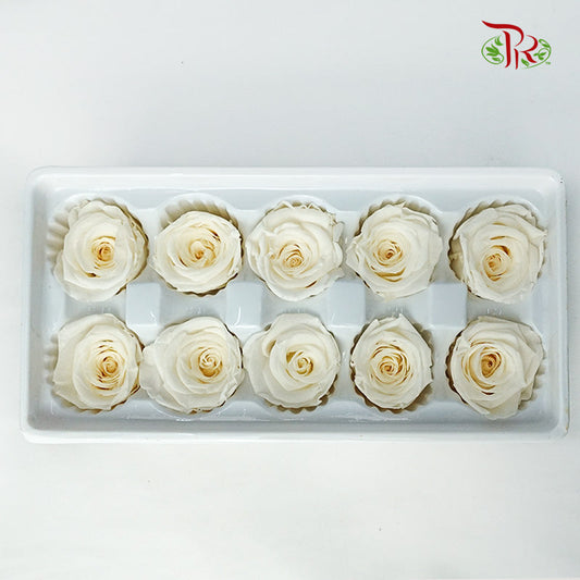 10 Bloom Preservative Rose - Light Yellow - Pudu Ria Florist Southern