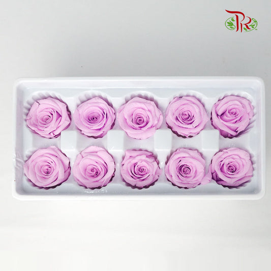 10 Bloom Preservative Rose - Lilac - Pudu Ria Florist Southern