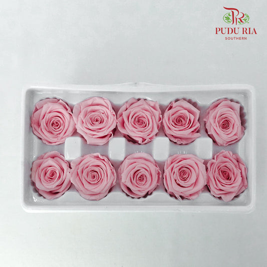 10 Bloom Preservative Rose - Pink - Pudu Ria Florist Southern