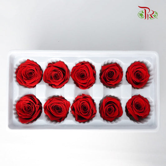 10 Bloom Preservative Rose - Red Pudu Ria Florist Southern