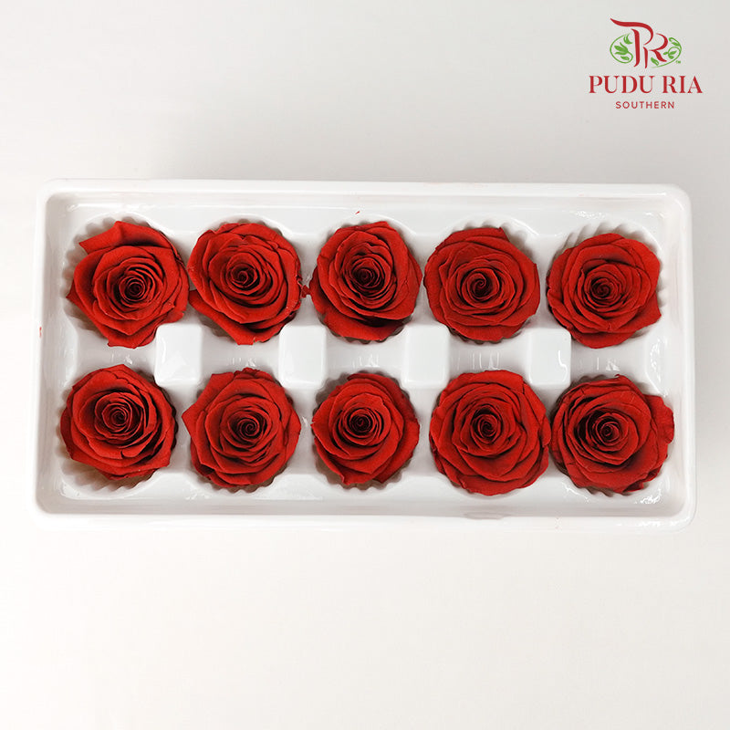 10 Bloom Preservative Rose - Reddish Brown - Pudu Ria Florist Southern