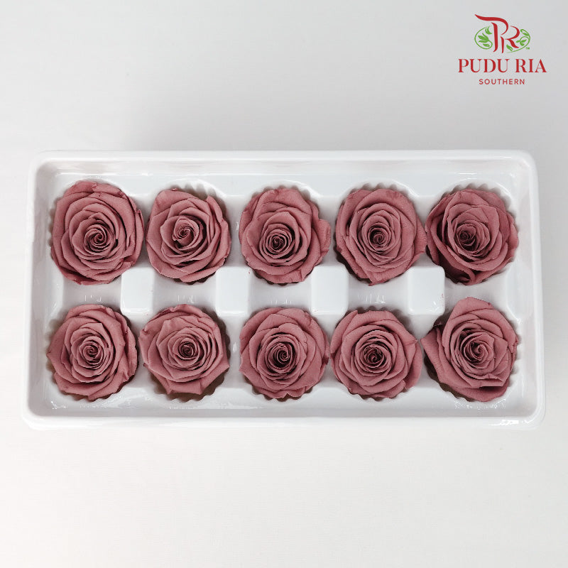 10 Bloom Preservative Rose - Rusty Red - Pudu Ria Florist Southern