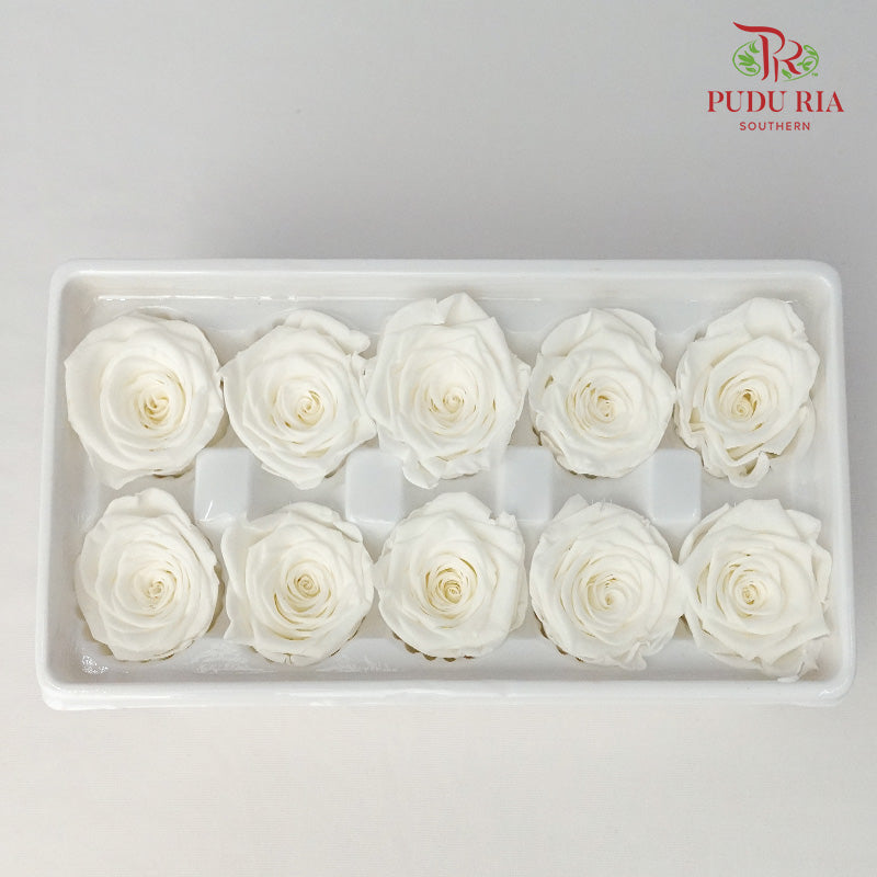 10 Bloom Preservative Rose - White - Pudu Ria Florist Southern