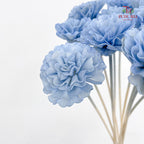 Dry Sola Marigold Blue - 10 Stems