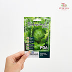 Flowers & Herbs Seeds