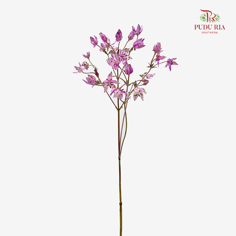 Nirvana Flower - (Per Bundle)