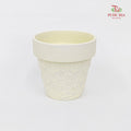 White Clay Pot - Vine