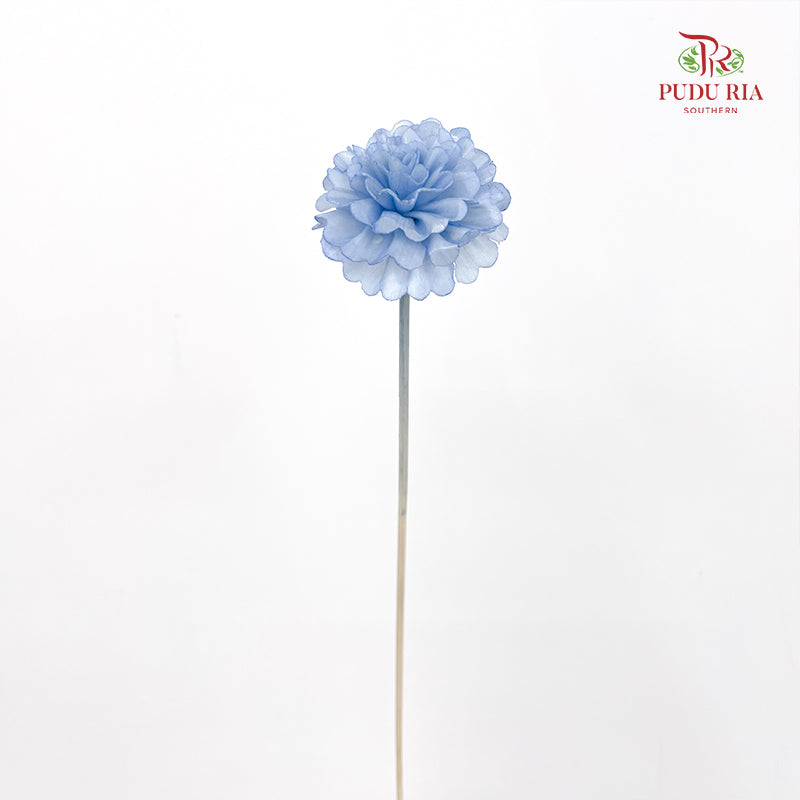 Dry Sola Marigold Blue - 10 Stems