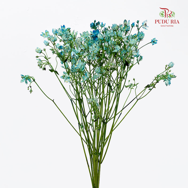 Nirvana Flower - (Per Bundle)