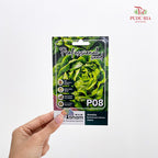 Flowers & Herbs Seeds
