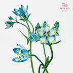 Nirvana Flower - (Per Bundle)