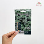 Flowers & Herbs Seeds
